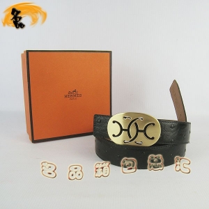 321 ¿ (i)RпƤ HermesƤ Hermes rB(nio)y 3cm
