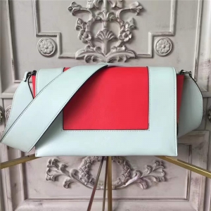 Celine ِ Frame y r(sh)ƴɫСţƤ бμ ɾG t