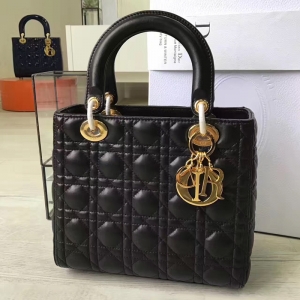 DiorϊW Lady Dior (jng)  ɫƤ  С̖