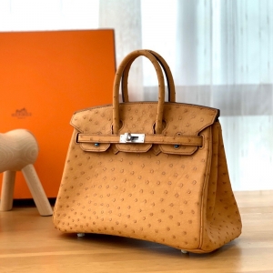 Hermes Birkin 25 RK ֹư rBƤ ̫