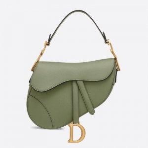M0446 Dior SaddleƼy DiorپW(wng)ŮR Gɫ