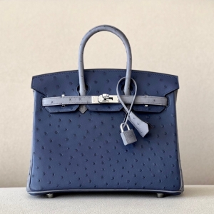 RHermes Birkin25 RK ֹư rBƤ {ɫ觻ƴɫ