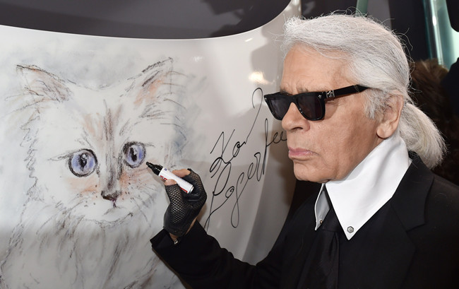 20152£Đ؈ChoupetteФϺ   ҕXЇD