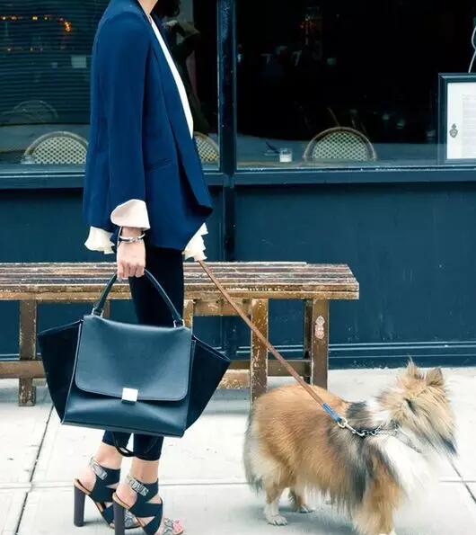 CELINE˼ֵIİBox, ЦĘǧĂrͶֹr
