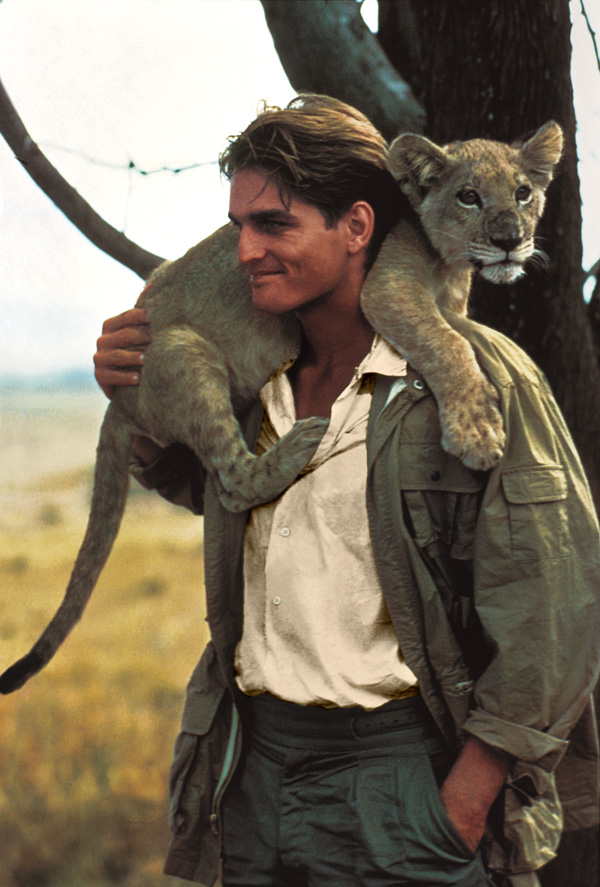 򡤄ȫRL67 SafariΫCϵд՚v