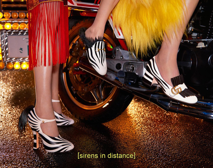 Gucci 2016ﶬϵЏVƬ